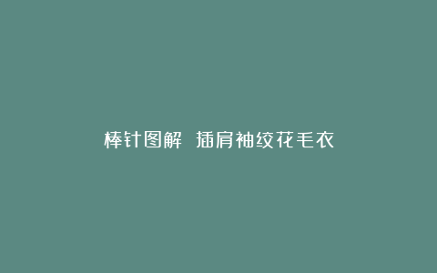 棒针图解 插肩袖绞花毛衣