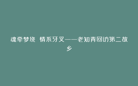 魂牵梦绕 情系牙叉——老知青回访第二故乡