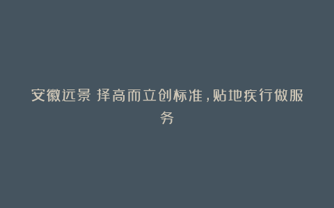 安徽远景:择高而立创标准,贴地疾行做服务