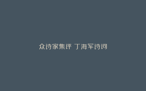 众诗家集评|丁海军诗词
