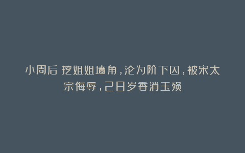 小周后:挖姐姐墙角,沦为阶下囚,被宋太宗侮辱,28岁香消玉殒