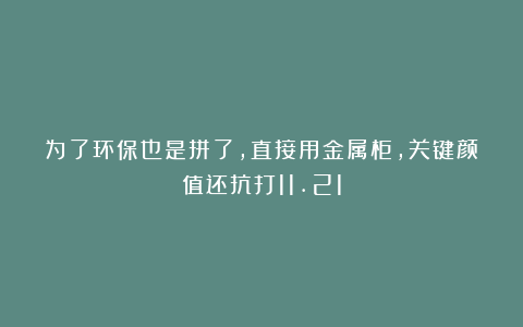 为了环保也是拼了，直接用金属柜，关键颜值还抗打11.21