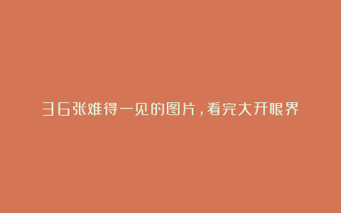 36张难得一见的图片,看完大开眼界!