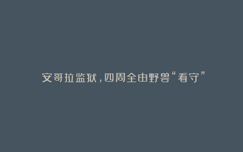 安哥拉监狱,四周全由野兽“看守”