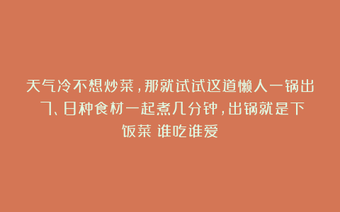 天气冷不想炒菜,那就试试这道懒人一锅出!7、8种食材一起煮几分钟,出锅就是下饭菜!谁吃谁爱!