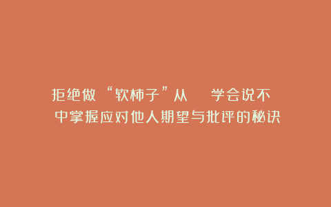 拒绝做 “软柿子”:从 《 学会说不 》中掌握应对他人期望与批评的秘诀
