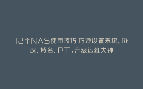 12个NAS使用技巧丨巧妙设置系统、协议、域名、PT,升级运维大神