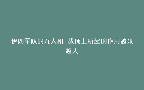 伊朗军队的无人机 战场上所起的作用越来越大