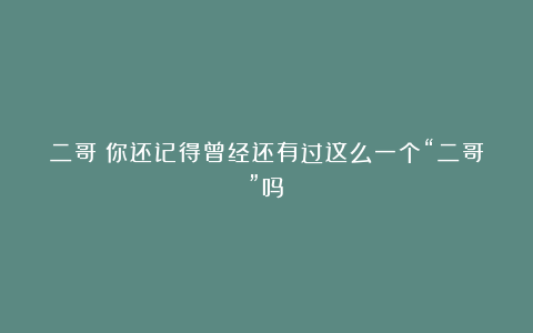 二哥!你还记得曾经还有过这么一个“二哥”吗?