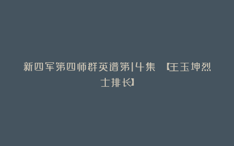 新四军第四师群英谱第14集 【王玉坤烈士排长】