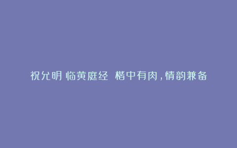 祝允明《临黄庭经》:楷中有肉,情韵兼备
