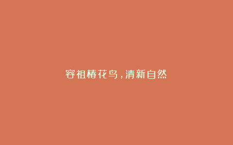 容祖椿花鸟，清新自然！