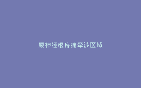 腰神经根疼痛牵涉区域