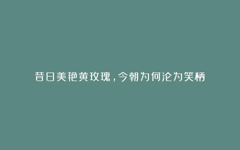 昔日美艳黄玫瑰,今朝为何沦为笑柄?