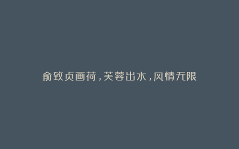 俞致贞画荷,芙蓉出水,风情无限