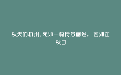 秋天的杭州,宛如一幅诗意画卷。 西湖在秋日