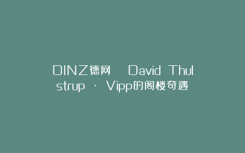 DINZ德网 | David Thulstrup · Vipp的阁楼奇遇