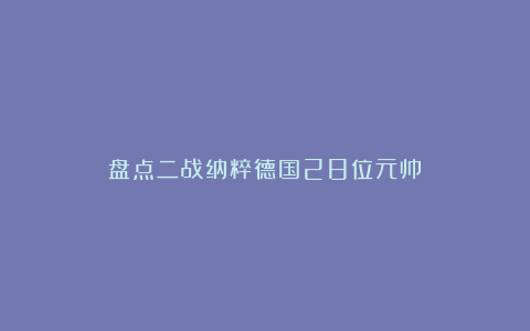 盘点二战纳粹德国28位元帅