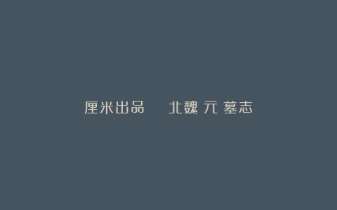 厘米出品 | 北魏《元囧墓志》