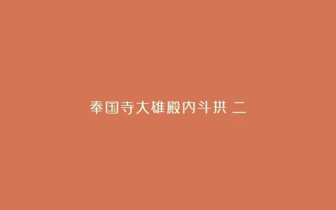 奉国寺大雄殿内斗拱(二)
