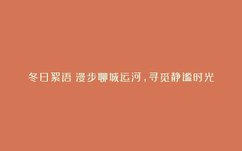 冬日絮语:漫步聊城运河,寻觅静谧时光