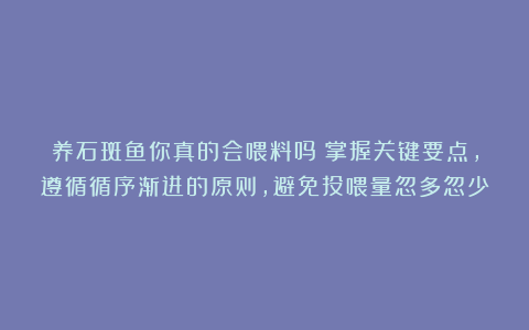 养石斑鱼你真的会喂料吗?掌握关键要点,遵循循序渐进的原则,避免投喂量忽多忽少