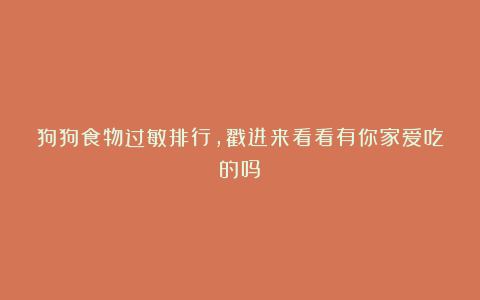 狗狗食物过敏排行,戳进来看看有你家爱吃的吗?