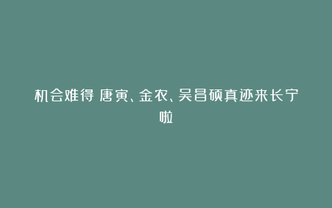 机会难得!唐寅、金农、吴昌硕真迹来长宁啦→