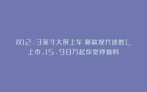 双12.3英寸大屏上车!新款现代途胜L上市,15.98万起你觉得值吗?