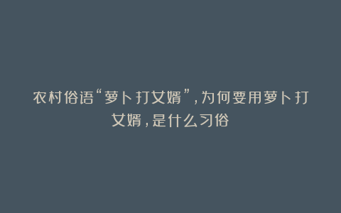农村俗语“萝卜打女婿”,为何要用萝卜打女婿,是什么习俗?