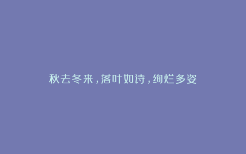 秋去冬来,落叶如诗,绚烂多姿