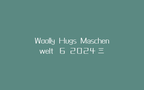 Woolly Hugs Maschenwelt №6 2024（三）