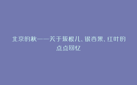 北京的秋——关于拔根儿、银杏果、红叶的点点回忆