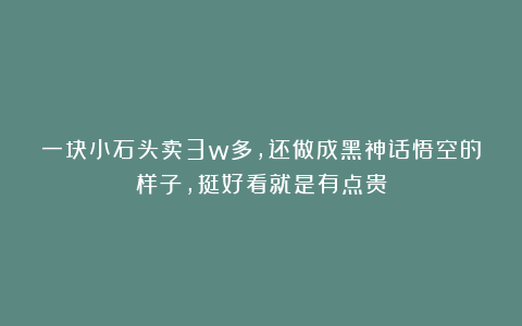 一块小石头卖3w多，还做成黑神话悟空的样子，挺好看就是有点贵