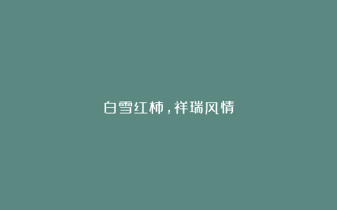 白雪红柿,祥瑞风情