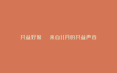 共益好报 | 来自11月的共益声音
