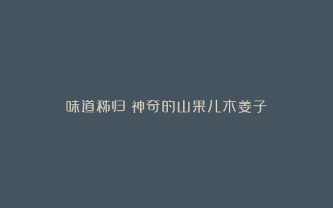 味道秭归丨神奇的山果儿木姜子