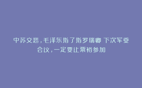 中苏交恶,毛泽东指了指罗瑞卿:下次军委会议,一定要让粟裕参加