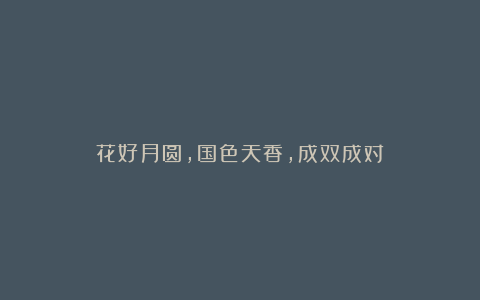 花好月圆,国色天香,成双成对