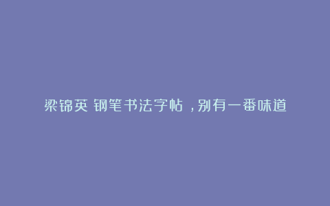 梁锦英《钢笔书法字帖》,别有一番味道