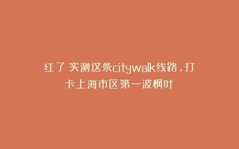 红了!实测这条citywalk线路,打卡上海市区第一波枫叶