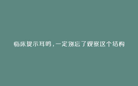 临床提示耳鸣，一定别忘了观察这个结构