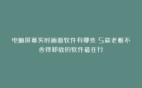 电脑屏幕实时画面软件有哪些?5款老板不舍得卸载的软件最在行!