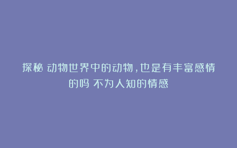 探秘:动物世界中的动物,也是有丰富感情的吗?不为人知的情感!