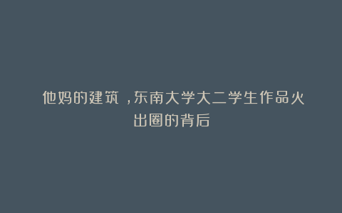 《他妈的建筑》,东南大学大二学生作品火出圈的背后