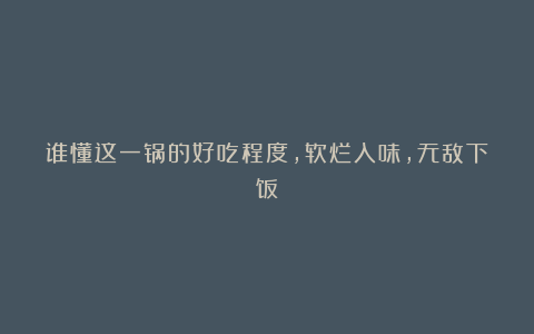 谁懂这一锅的好吃程度,软烂入味,无敌下饭