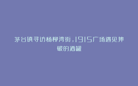 茅台镇寻访杨柳湾街,1915广场遇见摔破的酒罐