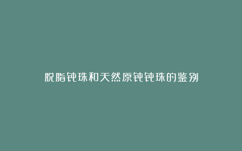脱脂骨珠和天然原骨骨珠的鉴别