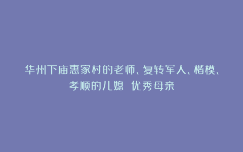 华州下庙惠家村的老师、复转军人、楷模、孝顺的儿媳 优秀母亲