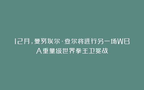12月,曼努埃尔·查尔将进行另一场WBA重量级世界拳王卫冕战